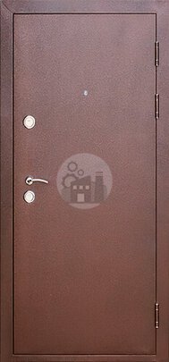 Металлическая антивандальная дверь в частный дом -ДВ-748